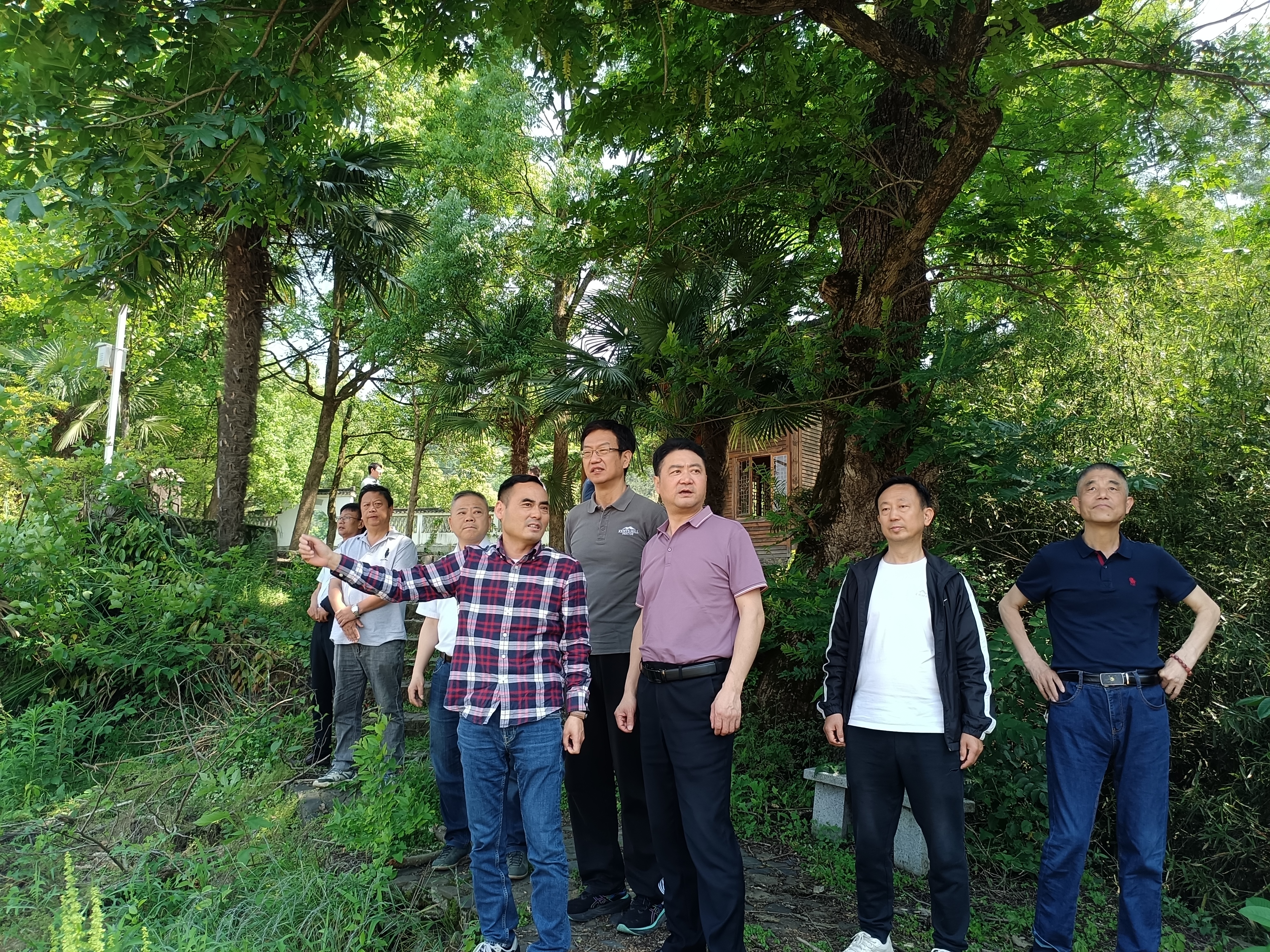 Z6��������ʱ���й������ٷ���վ