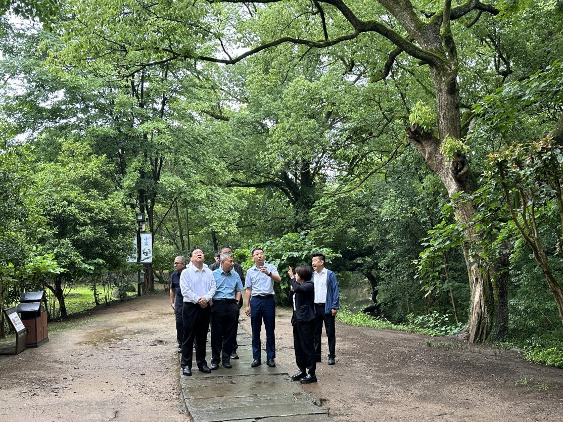 Z6��������ʱ���й������ٷ���վ