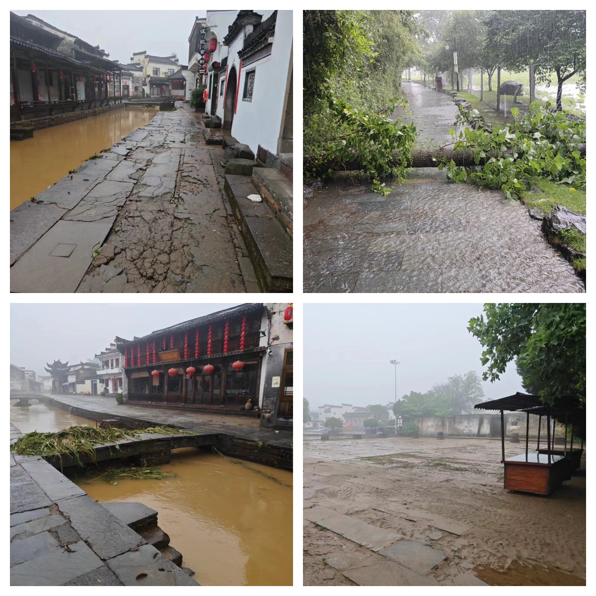 Z6��������ʱ���й������ٷ���վ