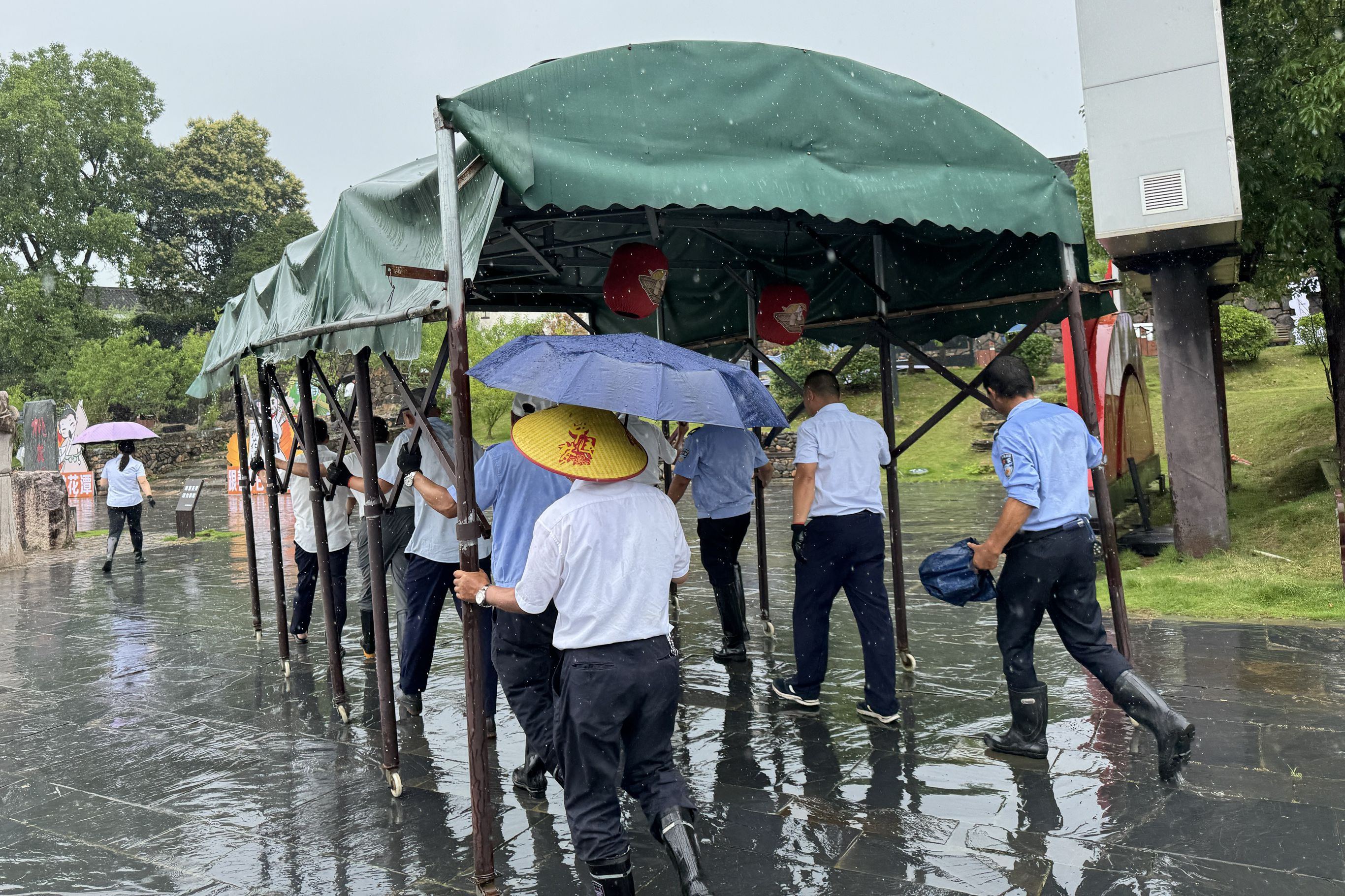 Z6��������ʱ���й������ٷ���վ