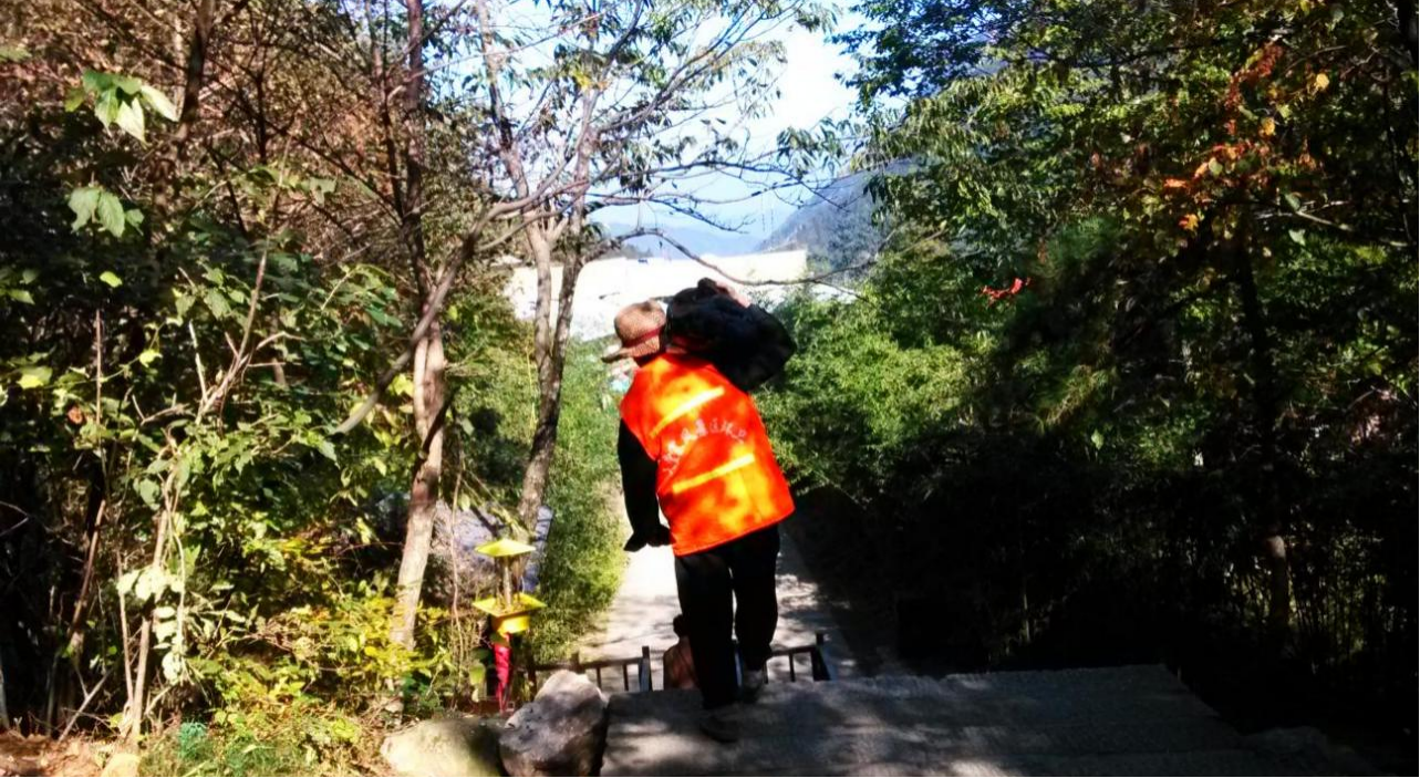 Z6��������ʱ���й������ٷ���վ