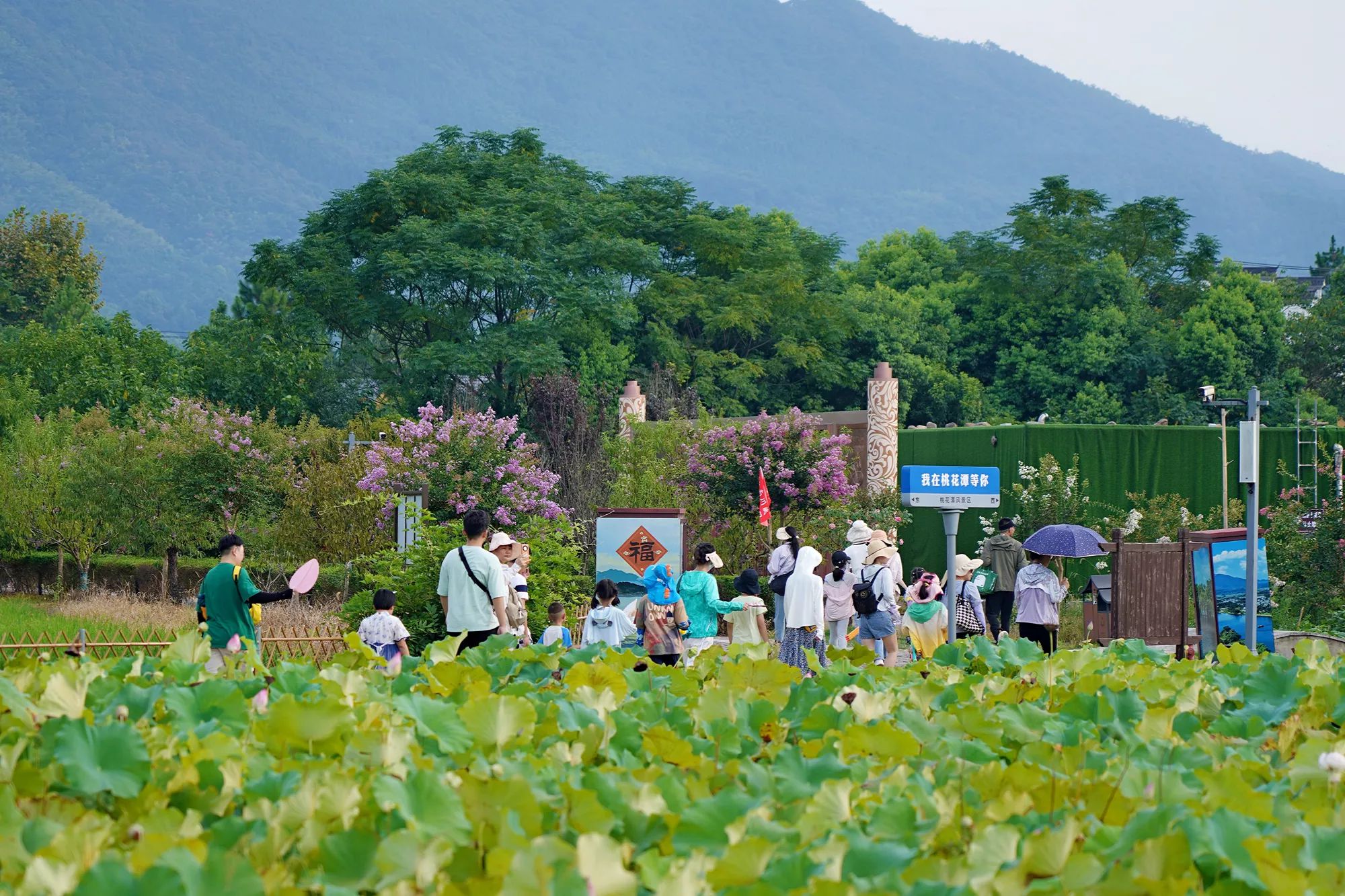 Z6��������ʱ���й������ٷ���վ