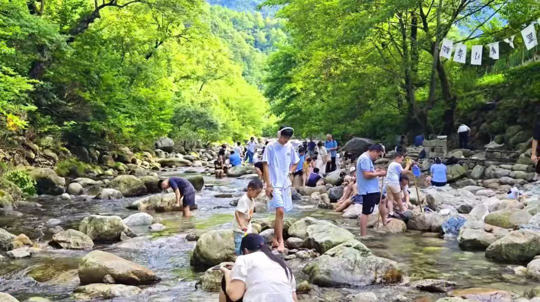 Z6��������ʱ���й������ٷ���վ