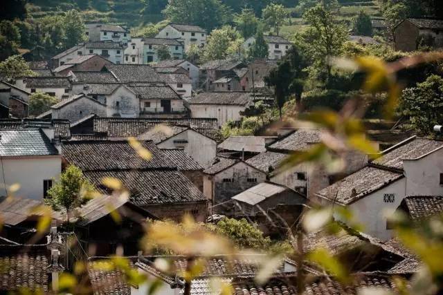 Z6��������ʱ���й������ٷ���վ