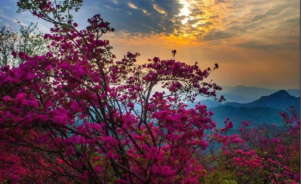 Z6��������ʱ���й������ٷ���վ