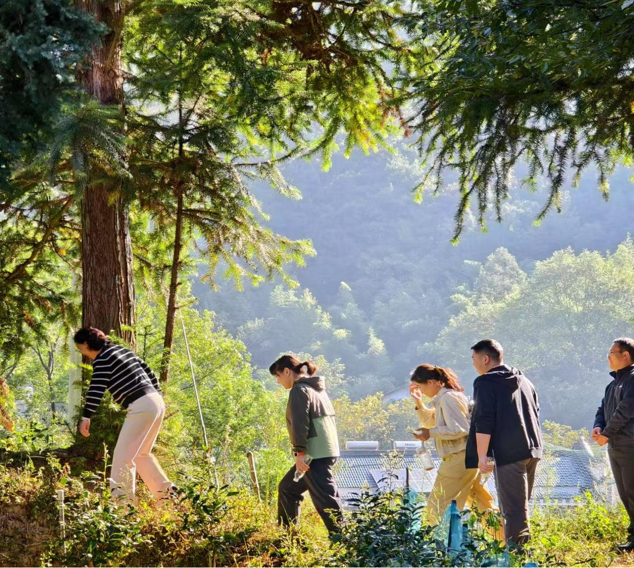 Z6��������ʱ���й������ٷ���վ