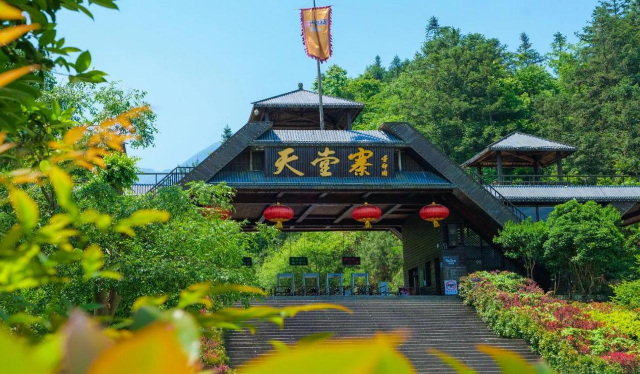 Z6��������ʱ���й������ٷ���վ