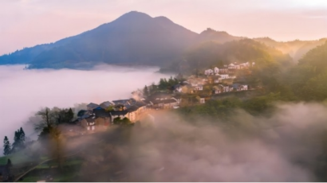 Z6��������ʱ���й������ٷ���վ